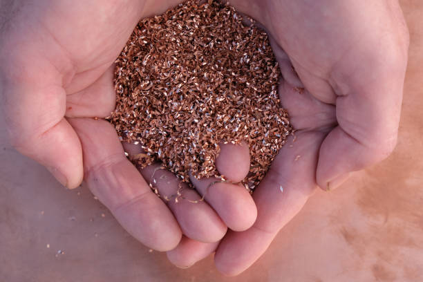 istock Copper shavings in the hands of the worker. Copper background. 1461053710