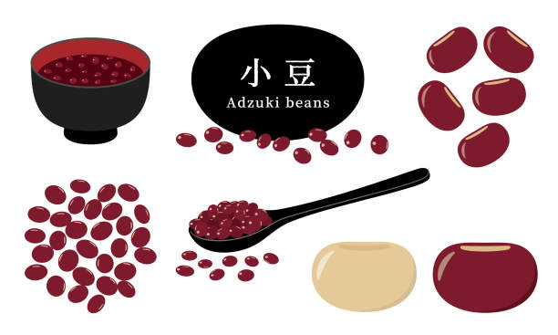 ilustrações de stock, clip art, desenhos animados e ícones de adzuki beans - adzuki bean