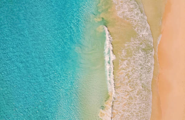 istock Beach Sand Sea Shore with Blue water. Aerial view. 1461054886