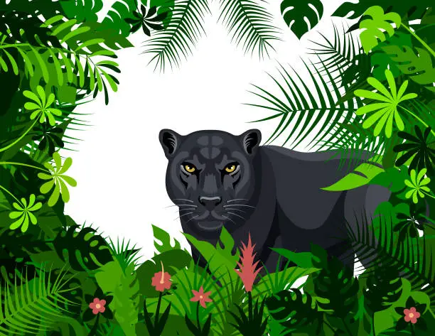 Vector illustration of Wild Black Panther in the jungle. Mascot Creative Logo Design.