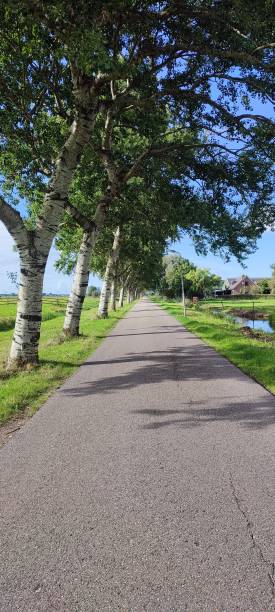 istock Country road on the countryside 1461061163
