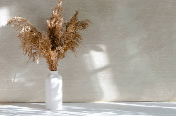 istock Pampas bouquet interior minimalist concept. 1461062736