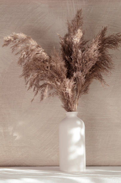 istock Pampas bouquet interior minimalist concept. 1461062747