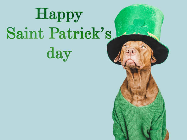istock Puppy and a bright green leprechaun hat 1461065481