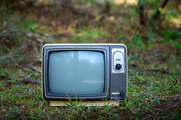 istock Retro old TV on green grass, outdoor 1461067235