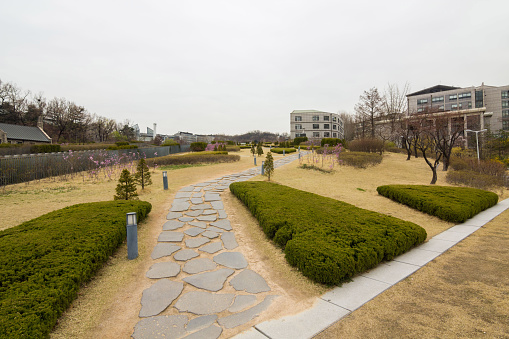 Holiday in South Korea - Womans University in the Daehyeon-dong, South Korea
