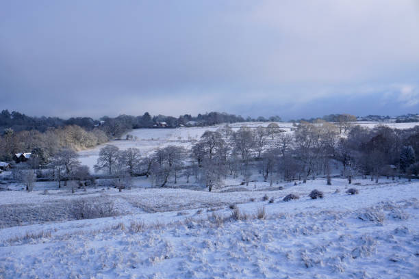 istock Snow covering Lyme Park in the UK 1461071515