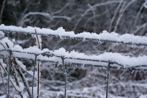 Snow resting on metal fencing