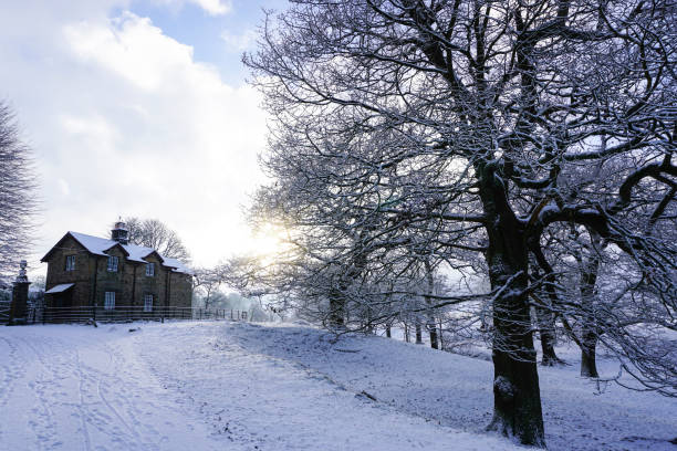 istock Snowy tree-lined lane leading to the Gate House 1461072562