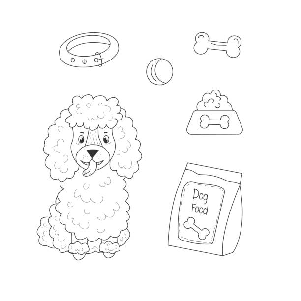 고립된 배경에 장난감과 개 사료와 함께 앉아 있는 푸들 - grooming dog pets poodle stock illustrations