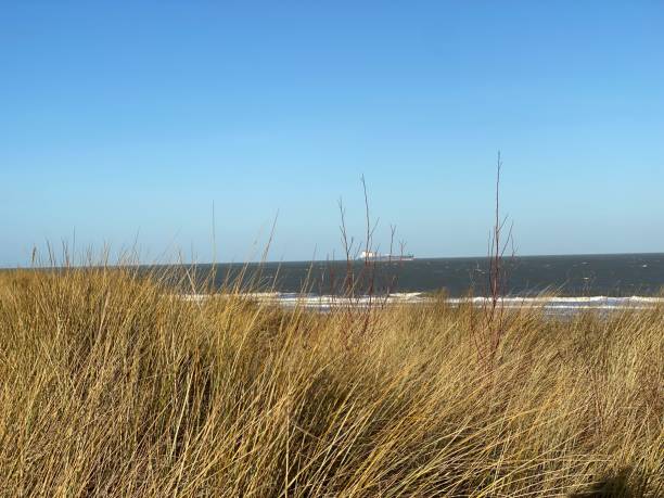 Cargo ship on the high seas behind dune landscape