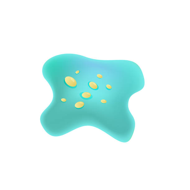 Viruses, germs and bacteria, microorganism types. Illness or disease microscopic cells and infection, microbes and antibodies. Viruses, germs and bacteria, microorganism types. Illness or disease mi croscopic cells and infection, microbes and antibodies. bacillus cereus stock illustrations