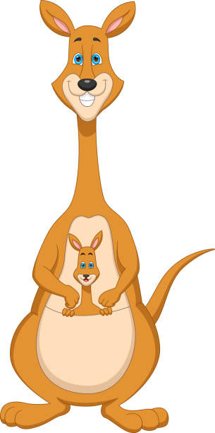 ilustraciones, imágenes clip art, dibujos animados e iconos de stock de madre canguro con su caricatura de bebé - young animal mother kangaroo family