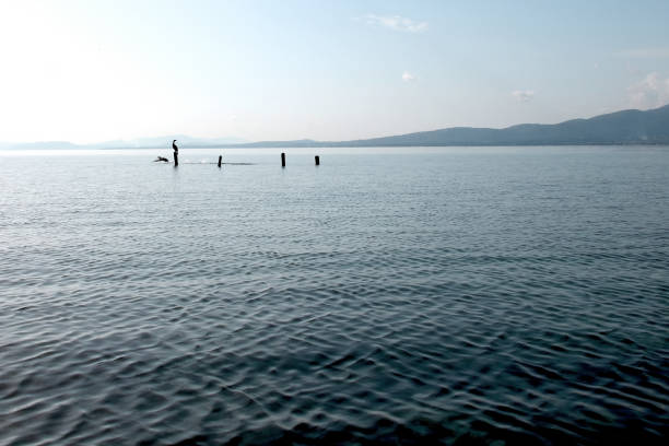 istock Schinias beach, Marathonas, Attica, landscape. 1461085833