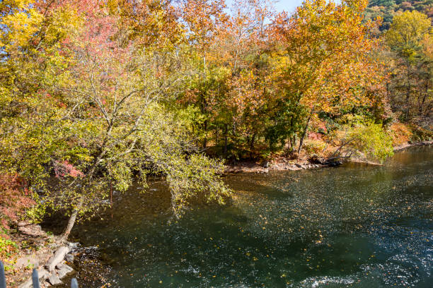 istock View of Autumn Colors by a River and Mountain Side 1461087082