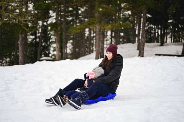 istock Family driving sled on the snow. 1461087412