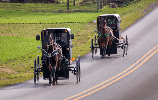 View of Two Amish Horse and Buggies Traveling Down a Countryside Road Thru Farmlands