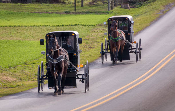 View of Two Amish Horse and Buggies Traveling Down a Countryside Road Thru Farmlands A View of Two Amish Horse and Buggies Traveling Down a Countryside Road Thru Farmlands on a Sunny December Day Amish stock pictures, royalty-free photos & images
