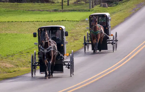 Photo of View of Two Amish Horse and Buggies Traveling Down a Countryside Road Thru Farmlands