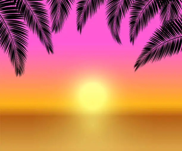 Vector illustration of Sunset with palm trees on the beach
