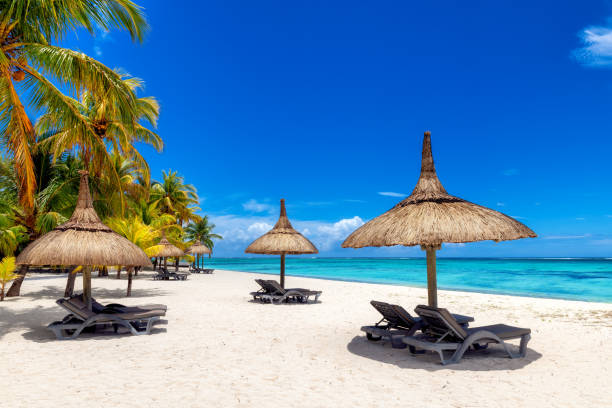 istock Tropical beach, vacation tropical resort 1461092304