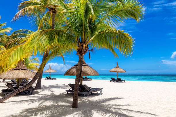 istock Tropical beach in tropical resort 1461092307
