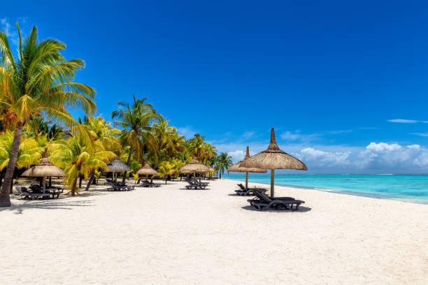 istock Tropical beach in tropical resort 1461092310