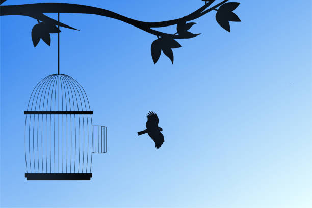 istock Freedom concept. Flying bird and cage vector. Emotion of freedom and happiness. Minimalist style. Bird set free. 1461097177