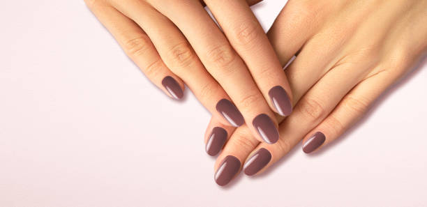 istock Beautiful groomed woman's hands with brown nails on the light brown background. 1461098880