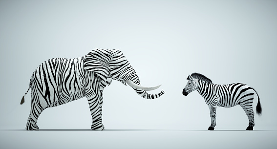 Elephant with zebra skin and  a zebra on studio background. Be different and mindset change concept. This is a 3d render illustration