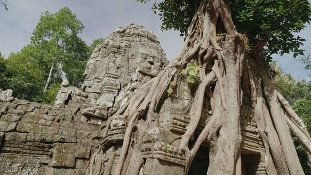 The Khmer temple of Ta Som - Tree growing atop the historical main gateway