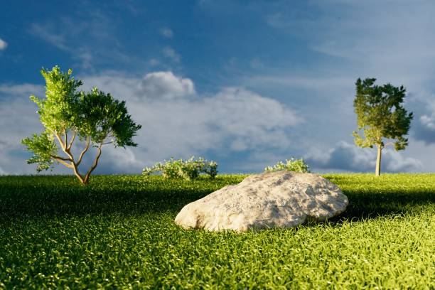 istock a stone lying on the grass among the green trees against a cloudy sky. 3D render 1461102307