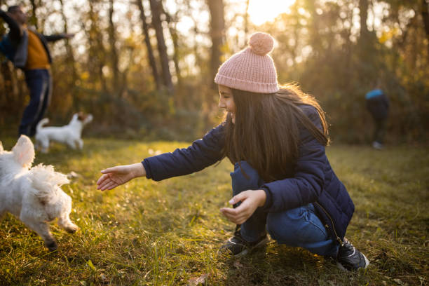 istock Girl playing with dog 1461102355