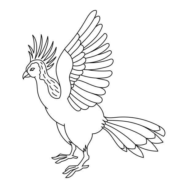 Hoatzin tropical bird. Editable outline stroke. Vector line illustration. Hoatzin tropical bird. Editable outline stroke. Vector line illustration. Open paths. hoatzin stock illustrations