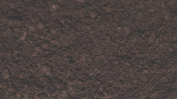 istock Black land for plant background. 1461105116