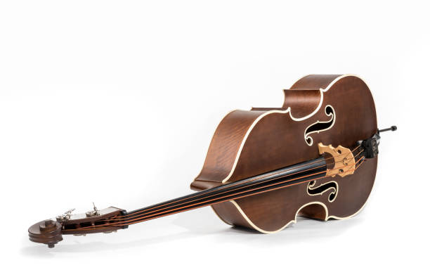 istock old brown double bass lies on the floor with copy-space 1461107193