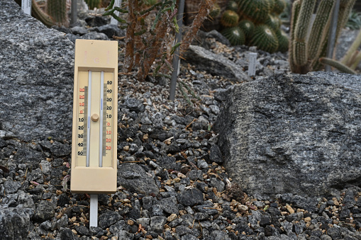 Wet and dry bulb thermometer, an instrument used to measure the relative humidity of the atmosphere. Beige colour equipment is sticked to soil in greenhouse in botanic gardens. Behind are cactuses.