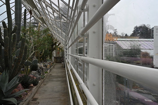 Interior of a greenhouse with exotic plants, mostly succulents and cactuses photographed in diminishing perspective. Along the glass walls there are some heating pipes to keep the needed temperature.