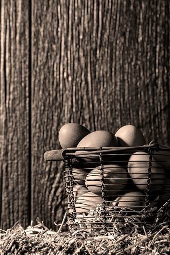 A rusty vintage wire basket full of freshly collected brown eggs, sitting on a straw bale against a weather barn wall.