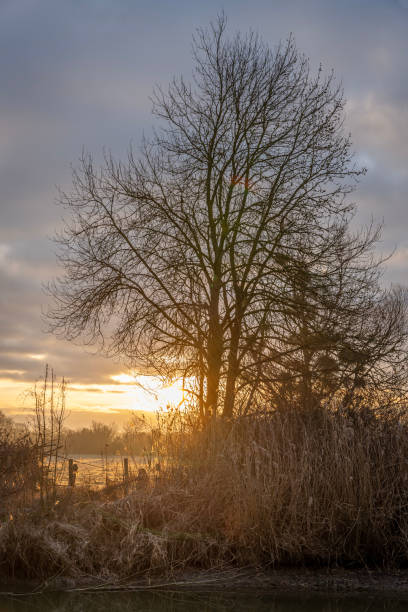 istock Alencon, France - 01 27 2023: Sunset in a garden near the river with trees, fields and reflection in the water 1461122000