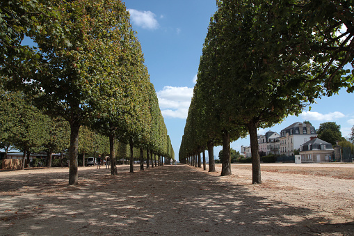 The Domaine national of Saint-Germain-en-Laye, commonly known as the castle park, is a set of gardens adjoining the castle. There are many strollers there in all seasons.