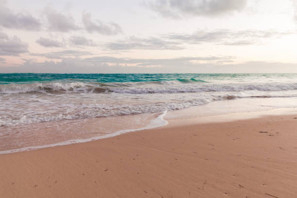 istock Empty sandy beach and shore waves in the morning 1461128280
