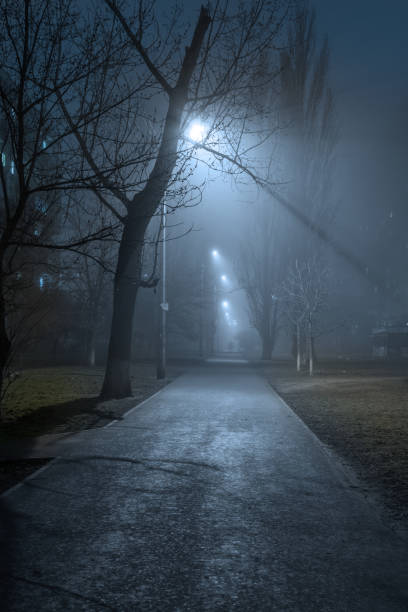 istock Foggy night in the city 1461128658