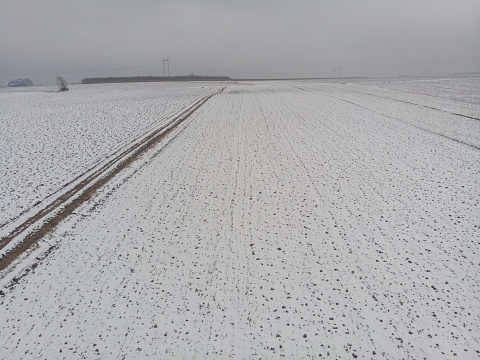Plowed fields in winter