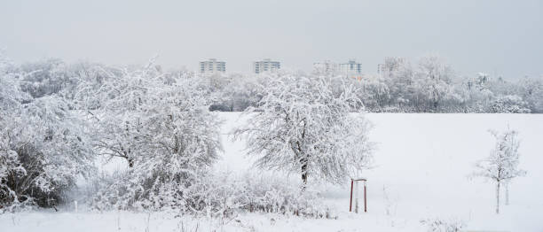 istock Winter panorama with abundance of snow 1461132704