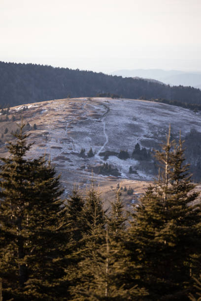 로안 고원의 애팔래치아 트레일에서 눈 내리는 저녁 - blue ridge mountains north carolina pine tree hiking 뉴스 사진 이미지