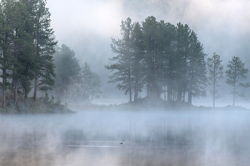 Early Morning Mist on Stockade Lake in the Black Hills of South Dakota