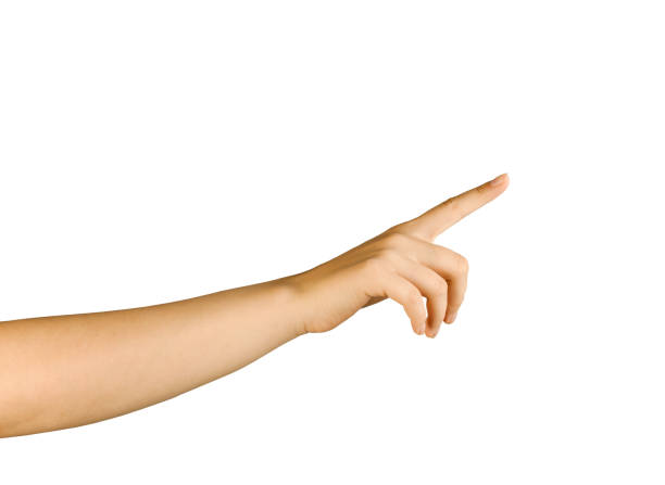 istock A woman's hand is insulated on a white background with space for a copy. 1461135860