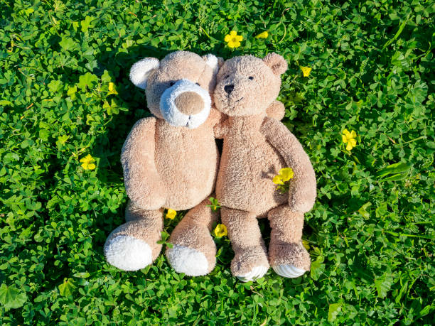 Free Stock Photo of Plush bear toy lying on grass | Download Free ...