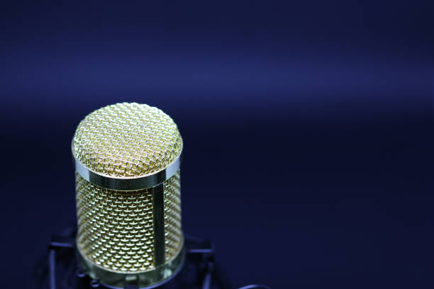 istock Condenser microphone with gold accents 1461144299